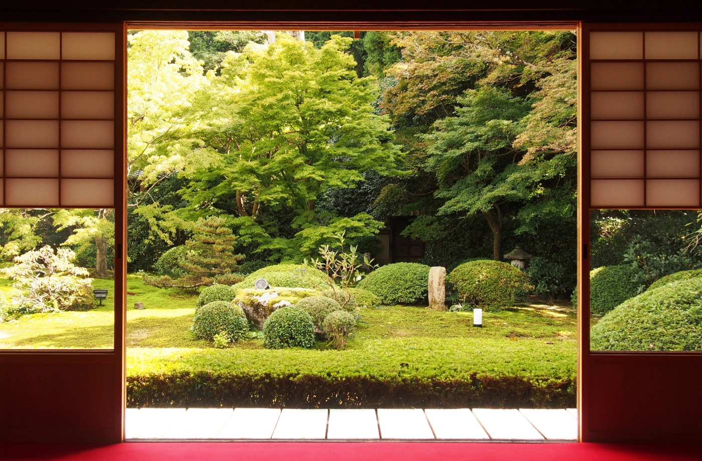 和室から見える日本庭園